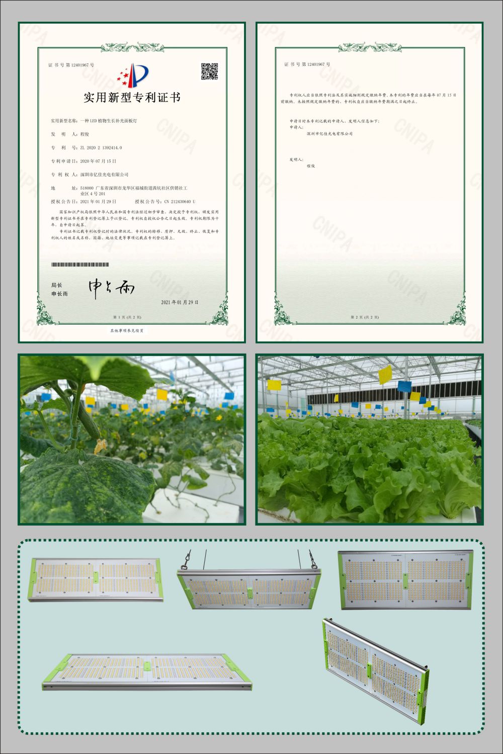 yp街机游戏植物生长面板灯适用新型专利